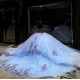 V Neck Light Blue Quinceanera Dress Pearl Lace Appliquéd 15 Dresses