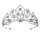 Baroque Bridal Headwear Women Wedding Dress Flower Crown Big Crystal Tiaras Miss Universe Pageant Hair Accessories Diadem Jewelr