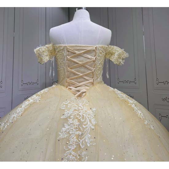 Customized 2024 Luxury Champagne Princess Ball Gown Quinceanera Dress Appliques Birthday Party Sweet 15 Vestidos De 15 Anos