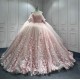 Customized Luxury Ball Gown Pink Quinceanera Dress 2024 Princess 3D Flowers Appliques Vestidos De 15 Anos