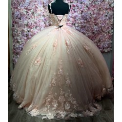 Customized Pink Quinceanera Dress Appliques Vestidos De Fiesta 2025 Ball Gown Evening Party Dresses