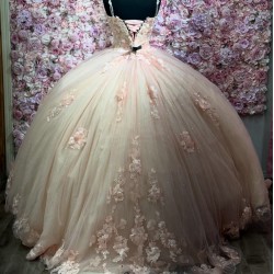 Customized Pink Quinceanera Dress Appliques Vestidos De Fiesta 2025 Ball Gown Evening Party Dresses