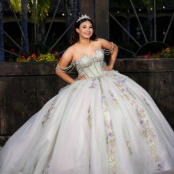 Customized Sage Green Ball Gown 15 Year Old Quinceanera Dresses 2025 With Appliques Sweet 16 Evening Party Dress