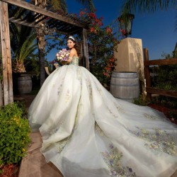 Customized Sage Green Ball Gown 15 Year Old Quinceanera Dresses 2025 With Appliques Sweet 16 Evening Party Dress