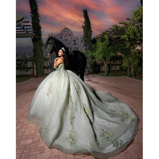 Customized Sage Green Ball Gown 15 Year Old Quinceanera Dresses 2025 With Appliques Sweet 16 Evening Party Dress