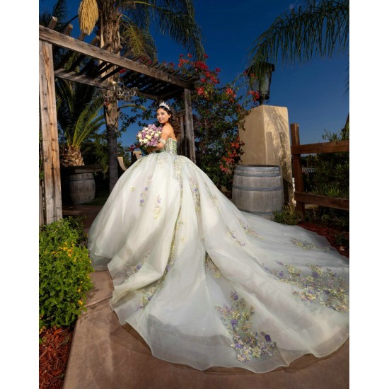 Customized Sage Green Ball Gown 15 Year Old Quinceanera Dresses 2025 With Appliques Sweet 16 Evening Party Dress