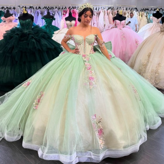 Customized Sage Green Ball Gown Quinceanera Dresses 2025 Appliques Evening Dress Vestido De 15 Anos