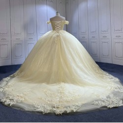 Fashionable Champagne Quinceanera Dresses for Girls Lace Appliques Vestido De 15 Anos Custom Made