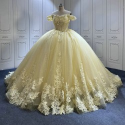 Fashionable Champagne Quinceanera Dresses for Girls Lace Appliques Vestido De 15 Anos Custom Made