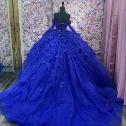 Long Sleeve Blue Quinceanera Dress 3D Flowers Princess Birthday Party Sweet 16 Dress