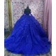 Long Sleeve Blue Quinceanera Dress 3D Flowers Princess Birthday Party Sweet 16 Dress