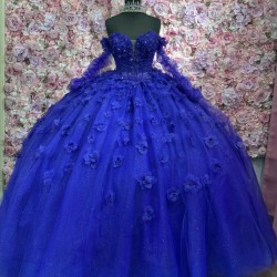 Long Sleeve Blue Quinceanera Dress 3D Flowers Princess Birthday Party Sweet 16 Dress