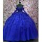 Long Sleeve Blue Quinceanera Dress 3D Flowers Princess Birthday Party Sweet 16 Dress