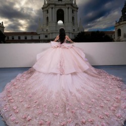 Off Shoulder Pink Quinceanera Dresses 3D Flowers Ball Gown Prom Dress Vestidos De 15 Anos Customized