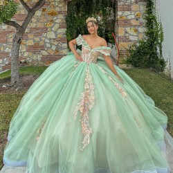 Off Shoulder Sage Green Ballgown Floral Appliques Quinceanera Dress 2024 Vestidos De 15 Anos