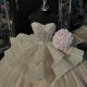 Sleeveless Champagne Quinceanera Dresses Ball Gown 15Anos 3D Flowers Evening Dress Sweet 15 Vestidos Prom Dress