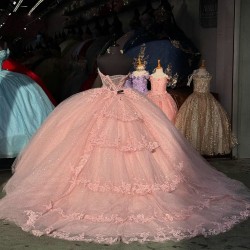 Sleeveless Pink Quinceanera Dresses Ball Gown Sweetheart Neck Tulle Sequin Party Sweet 16 Dress