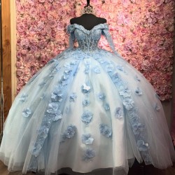 Sweetheart Neck Ball Gown Tulle Sky Blue Quinceanera Dresses Mexican Long Sleeve Vestidos De 15 Anos